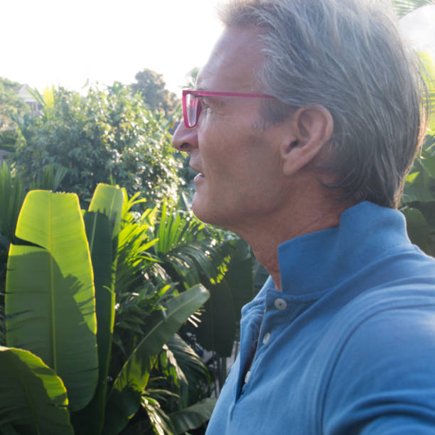 istock Man admires jungle from balcony 942976464