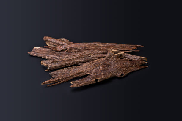 한 천 나무 막대기의 매크로 촬영을 닫거나 agarwood 절연 검은 배경에 그것을 레코딩 하거나 아라비아 oud 오일 또는 bakhoor를 사용 하는 향 칩 - tree resin 뉴스 사진 이미지