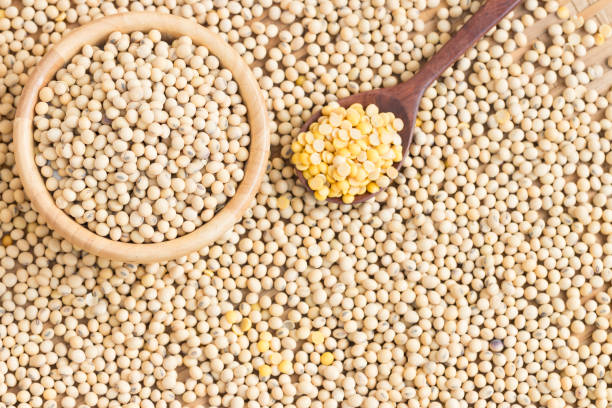 istock Soy milk and soy beans on wood background. 942992458