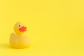 Rubber duck toy for swimming on yellow background.