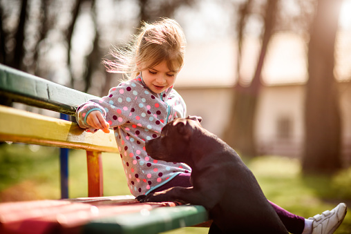 Little girl sitting on the bench in the park and playing with her pet dog.