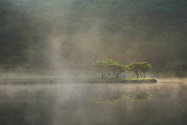Foggy morning of Kakumanbuchi
