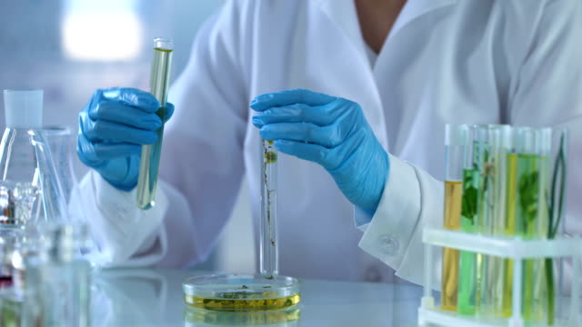 Lab worker pouring chemical liquid herbal tube, perfumery extract, cosmetology