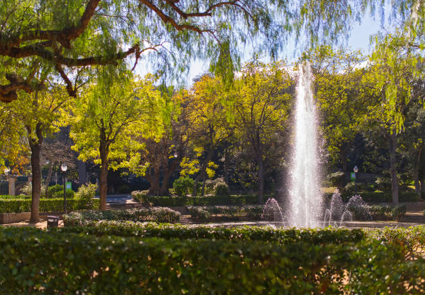 istock Outdoor park with fountain and trees in summer sun rays. 943018440