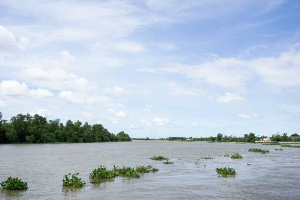 istock bangprakong river in chachoengsao thailand 943023426