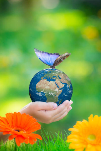 istock Child holding Earth planet with blue butterfly in hands 943029134