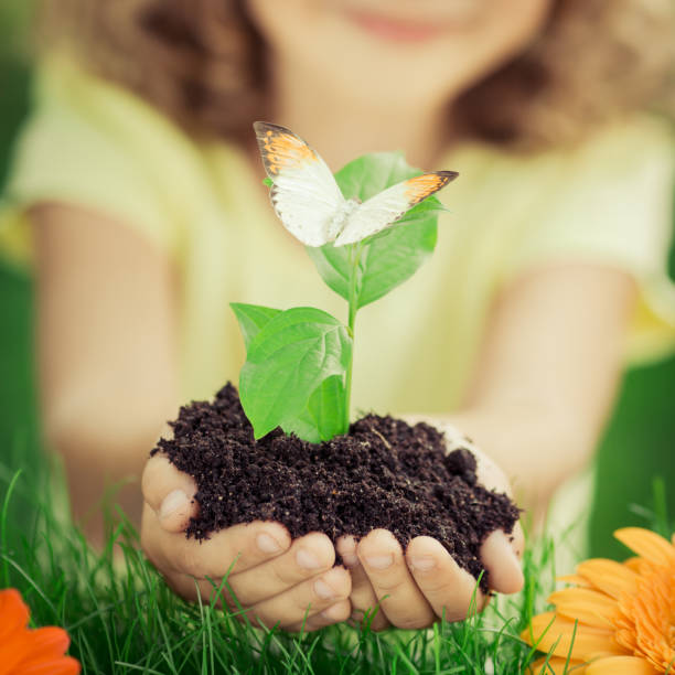 istock Child holding young plant in hands 943029230
