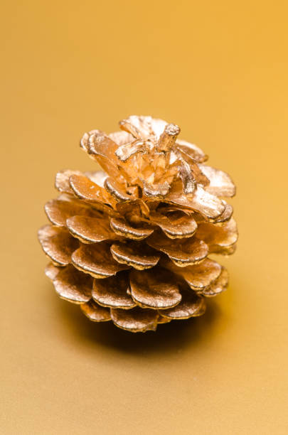 istock one golden pine cone on agolden background 943030270