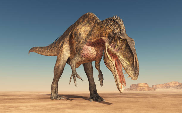 istock Dinosaur Acrocanthosaurus in the desert 943037518