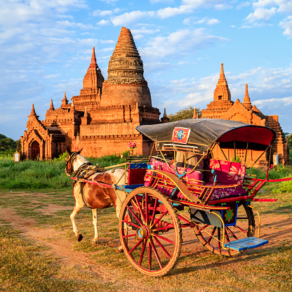 Burmese man sitting on a horse cart near the ancient temples of Bagan, Myanmar (Burma)