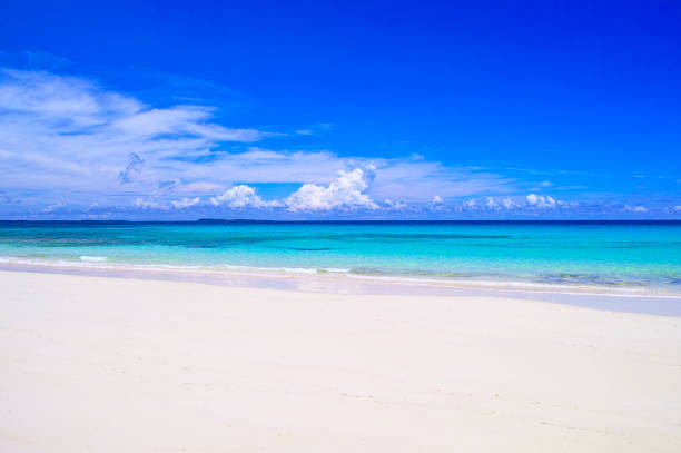 beach and beautiful tropical sea