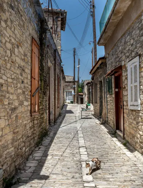 A Stray Cat walking across a pebbled Street in Lefkara, Cyprus. Photo was taken mid afternoon, high contrast light