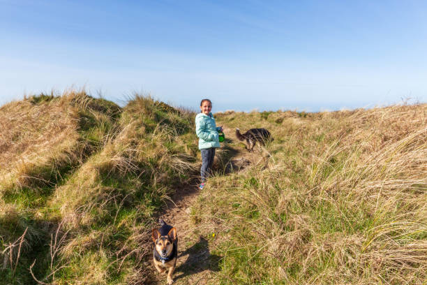 istock Nine year old girl playing with her dogs 943042298