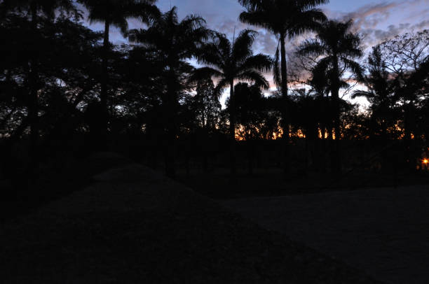Itaici Garden - SP