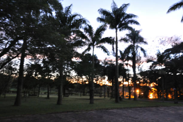 istock Itaici Garden - SP 943046890