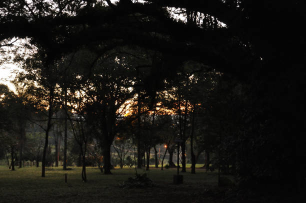 Itaici Garden - SP