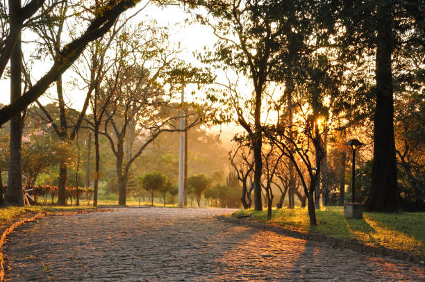 istock Itaici Garden - SP 943046998
