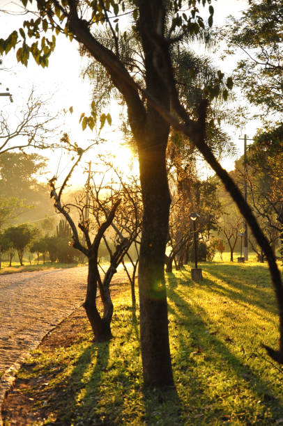 Itaici Garden - SP