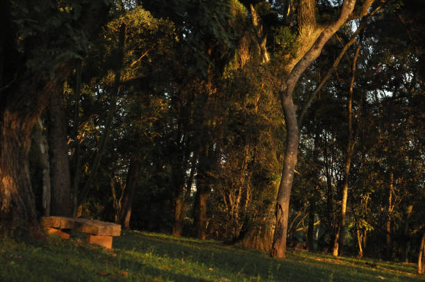 Itaici Garden - SP