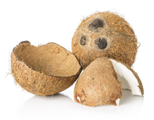 istock Fresh brown coconut isolated on white 943051100