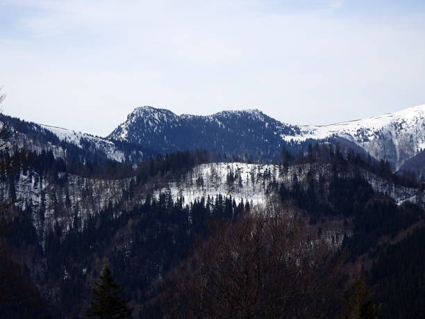 istock Sunny day in the mountains 943051970