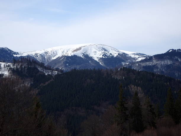 istock Sunny day in the mountains 943051972