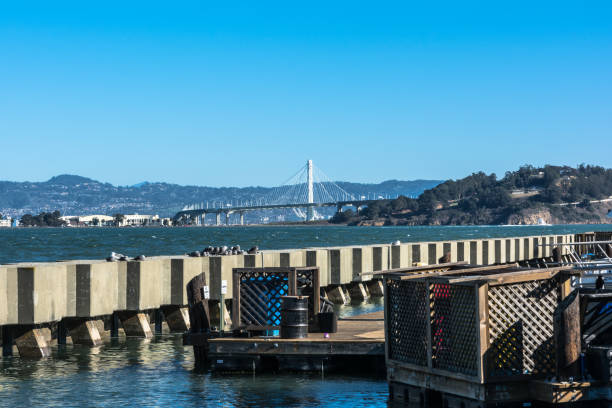 istock New Bay Bridge view from the Pier 39, San Francisco 943059722