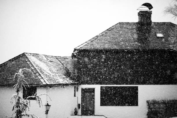 istock Snowfall and defocused background in monochrome 943074622