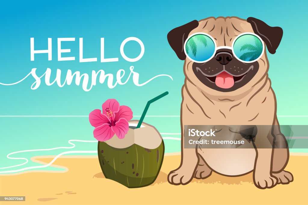 Pug dog wearing reflective sunglasses on a sandy beach, ocean in background, green coconut drink, Hello Summer text. Funny humorous lifestyle, tropical vacation, summer holidays, warm weather theme. Dog stock vector