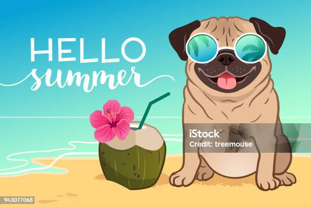 Pug Dog Wearing Reflective Sunglasses On A Sandy Beach Ocean In Background Green Coconut Drink Hello Summer Text Funny Humorous Lifestyle Tropical Vacation Summer Holidays Warm Weather Theme Stock Illustration - Download Image Now