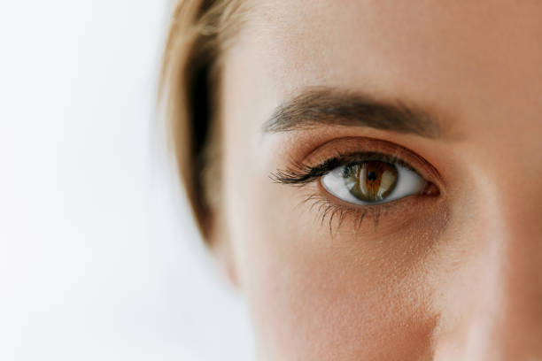 closeup of beautiful girl eye and eyebrow with natural makeup - huge eyes imagens e fotografias de stock