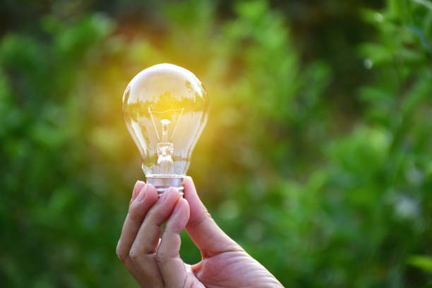 istock hand holding bulb in nature on green background. 943082418