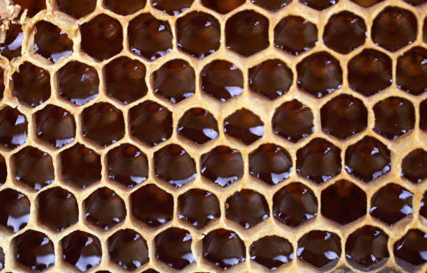 istock Close-up beautiful honeycomb with honey 943084680
