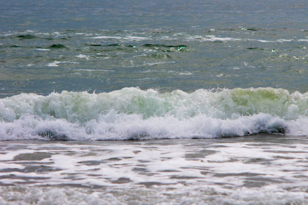 Beach wave. Wave coming ashore.
