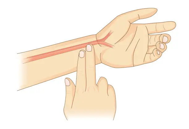 Vector illustration of Checking Your Heart Rate Manually with place two fingers at wrist.