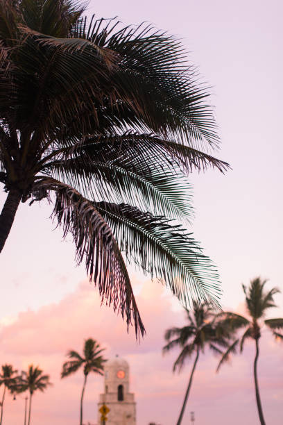 istock Pink Pastel Worth Avenue Clock Tower in Palm Beach 943088040