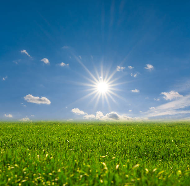 istock spring green rural field under a sparkle sun 943088992