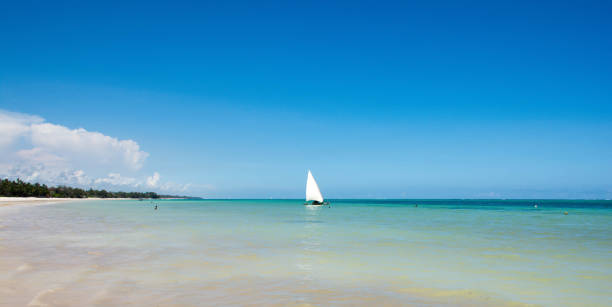Sail boat in the sea beside the beach