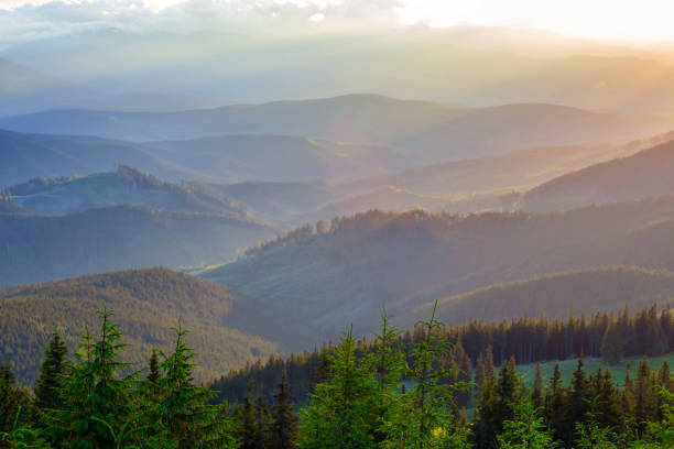 istock quiet evening landscape, mountain valley in a mist at the dusk 943096482