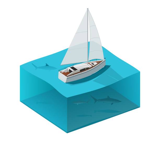 illustrazioni stock, clip art, cartoni animati e icone di tendenza di yacht nell'oceano con gli squali. - isometric nautical vessel yacht sailboat