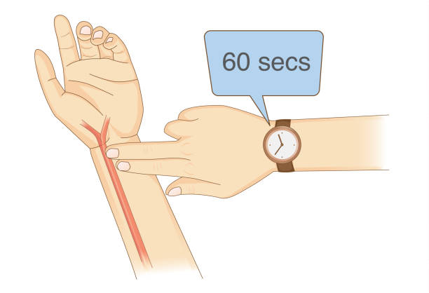Checking Your Heart Rate Manually with place two fingers and wristwatch. Checking Your Heart Rate Manually with place two fingers and wristwatch. Illustration about health diagnose. taking pulse stock illustrations