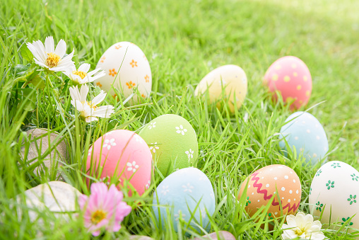 Happy easter!  Closeup Colorful Easter eggs in nest on green grass field during sunset background.