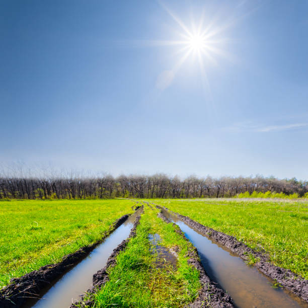 istock dirty ground road among a green fields at the sunny day 943105132