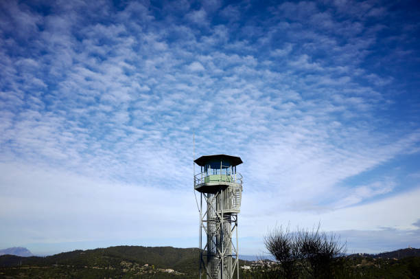 istock Watchtower in a forest near to Barcelone 943105306