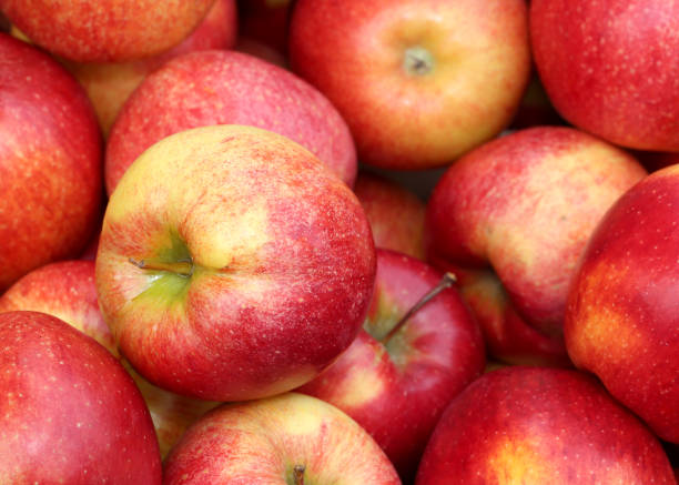 istock red ripe apples for sale from greengrocers 943109950