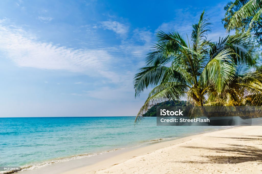 Tropical palm beach on Koh Kood island - Thailand View on tropical palm beach on Koh Kood island - Thailand Beach Stock Photo