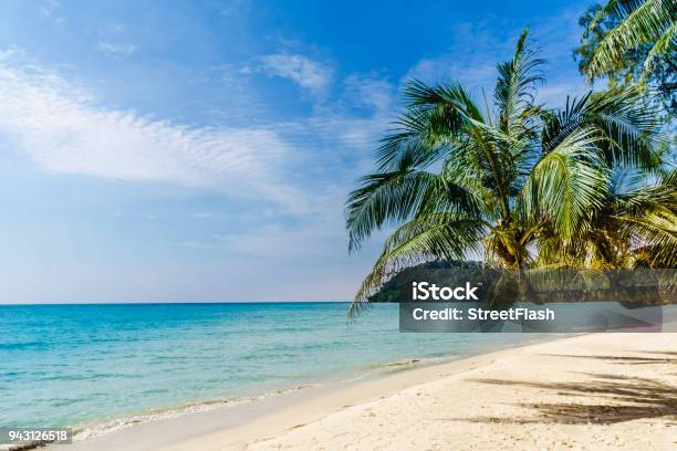 Tropical Palm Beach On Koh Kood Island Thailand Stock Photo - Download Image Now - Beach, Abundance, Thailand