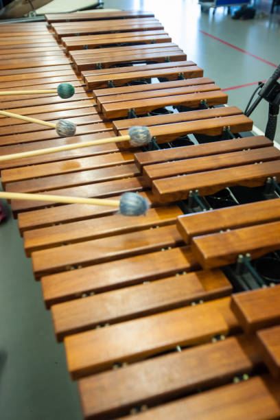 istock Musician in action with percussion instrument during a concert or performance 943130134