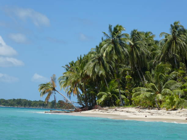 istock Zapatilla island of Panama 943133526