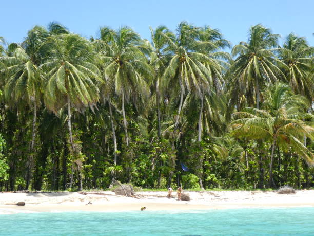 istock Zapatilla island of Panama 943133726